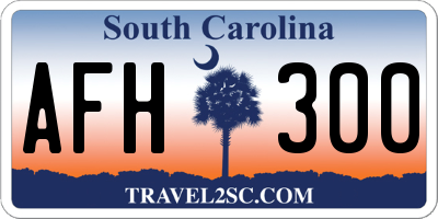 SC license plate AFH300