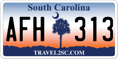 SC license plate AFH313