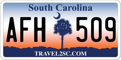 SC license plate AFH509