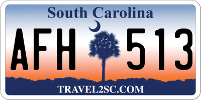 SC license plate AFH513