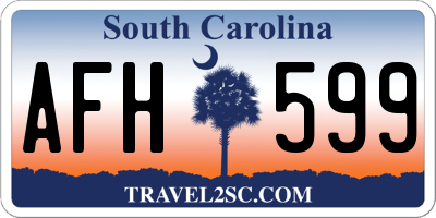 SC license plate AFH599