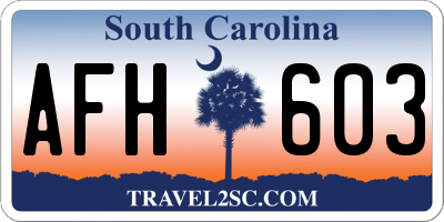 SC license plate AFH603