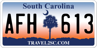 SC license plate AFH613