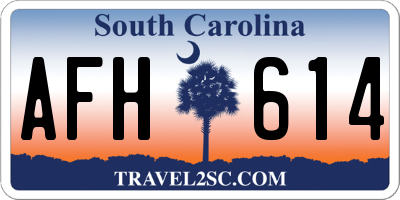 SC license plate AFH614