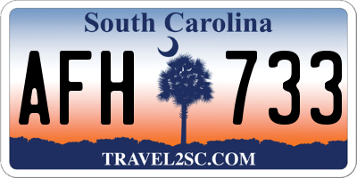 SC license plate AFH733