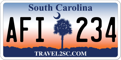 SC license plate AFI234