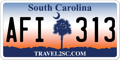 SC license plate AFI313