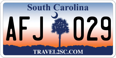 SC license plate AFJ029