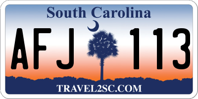 SC license plate AFJ113