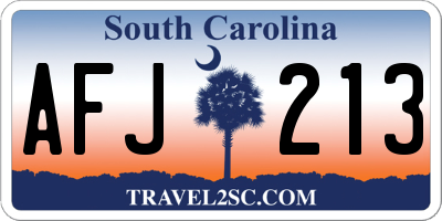 SC license plate AFJ213