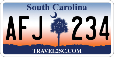 SC license plate AFJ234