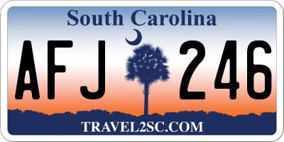 SC license plate AFJ246