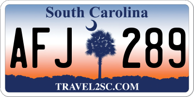 SC license plate AFJ289
