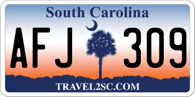 SC license plate AFJ309