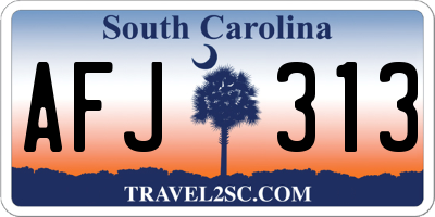 SC license plate AFJ313