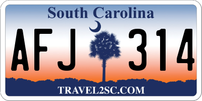 SC license plate AFJ314