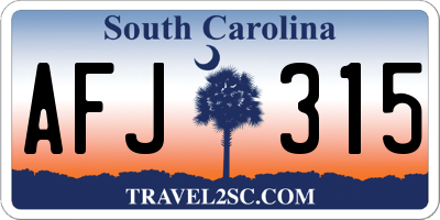 SC license plate AFJ315