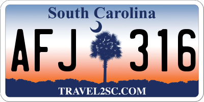 SC license plate AFJ316
