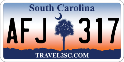 SC license plate AFJ317
