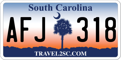 SC license plate AFJ318