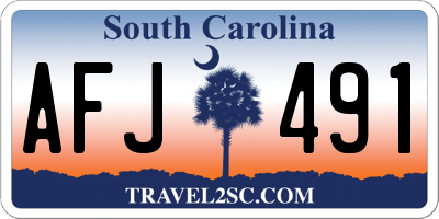 SC license plate AFJ491