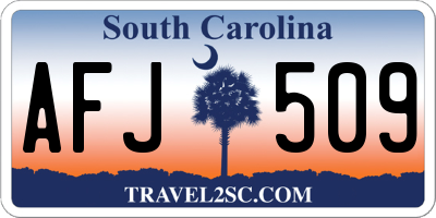 SC license plate AFJ509