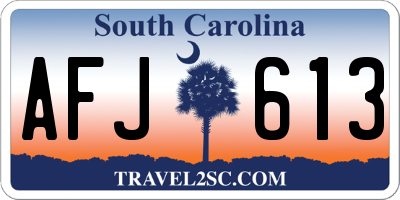 SC license plate AFJ613