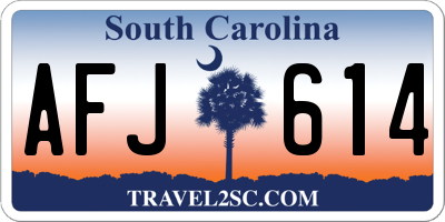 SC license plate AFJ614