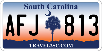 SC license plate AFJ813