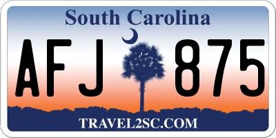 SC license plate AFJ875