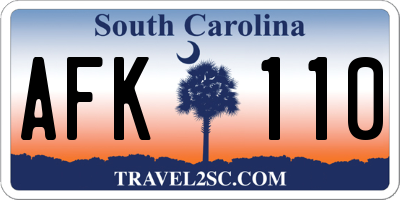 SC license plate AFK110