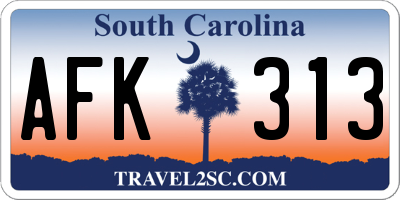 SC license plate AFK313