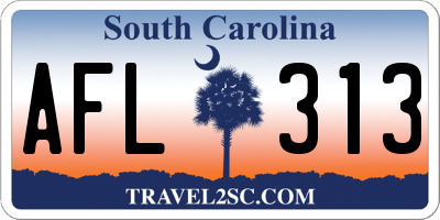 SC license plate AFL313