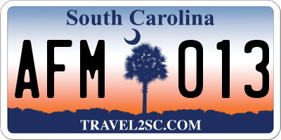SC license plate AFM013