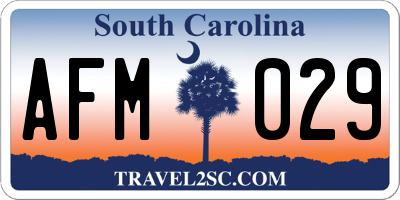 SC license plate AFM029