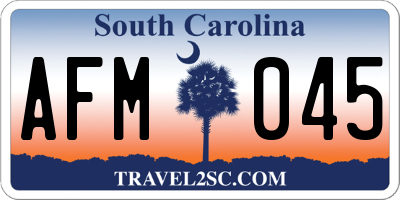 SC license plate AFM045