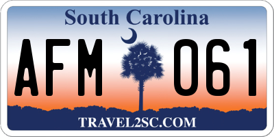 SC license plate AFM061