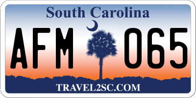 SC license plate AFM065