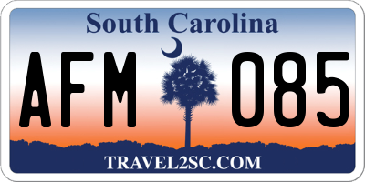 SC license plate AFM085