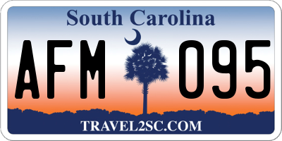 SC license plate AFM095