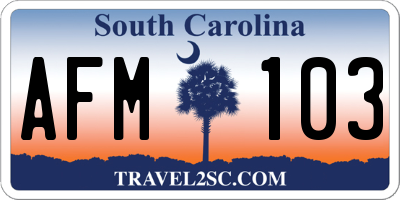 SC license plate AFM103
