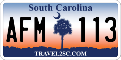 SC license plate AFM113