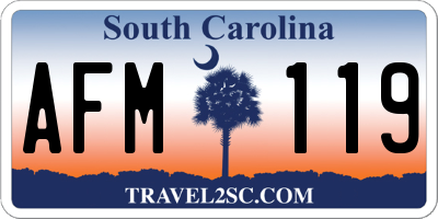 SC license plate AFM119