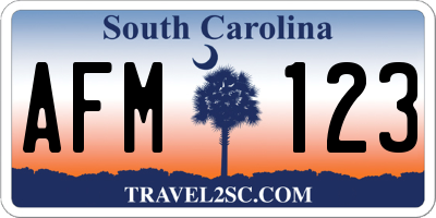 SC license plate AFM123