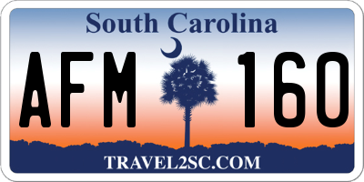 SC license plate AFM160