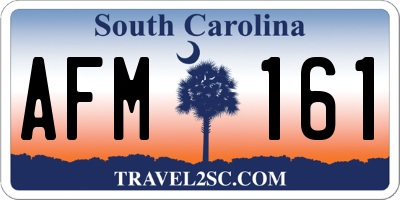 SC license plate AFM161