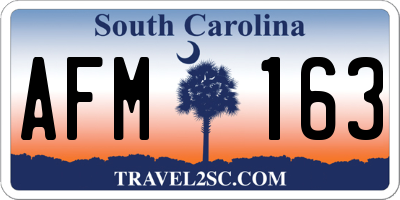 SC license plate AFM163
