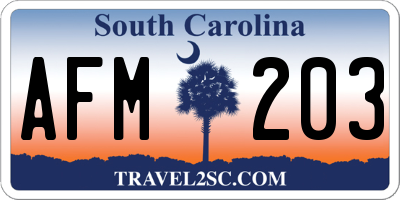 SC license plate AFM203