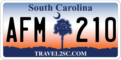 SC license plate AFM210