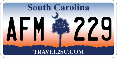 SC license plate AFM229